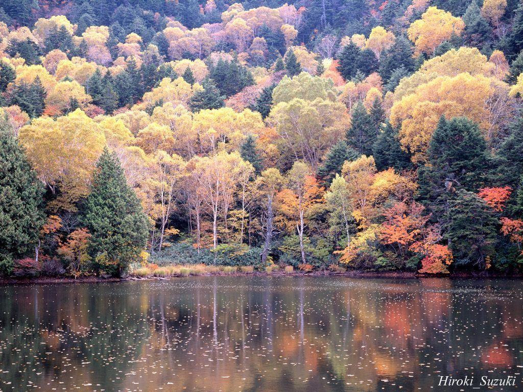 Fall Scene Wallpaper, Free Wallpaper Blog Autumn Scene Free