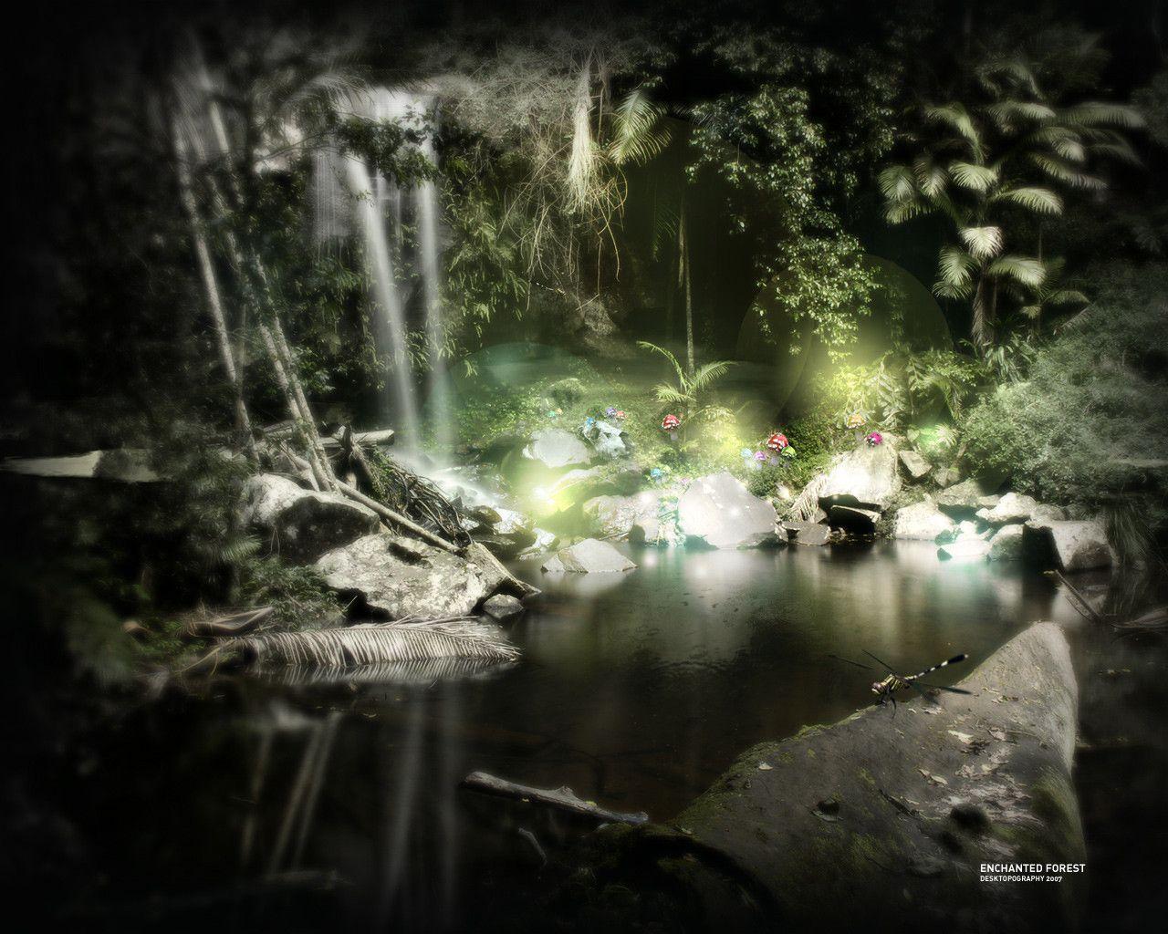 Wallpaper For > Dark Enchanted Forest Background