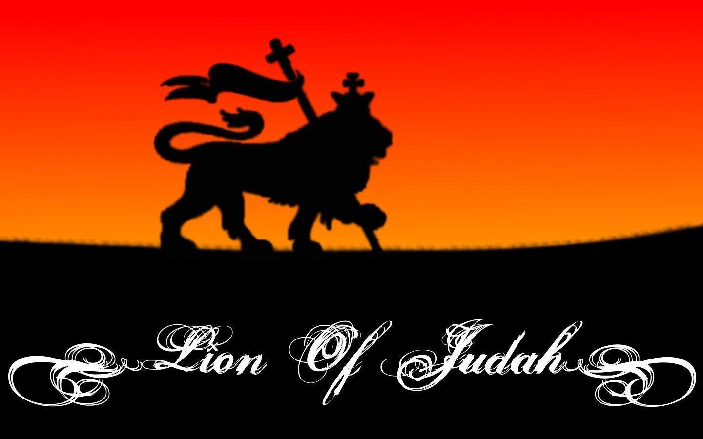 image For > Lion Of Judah Vector