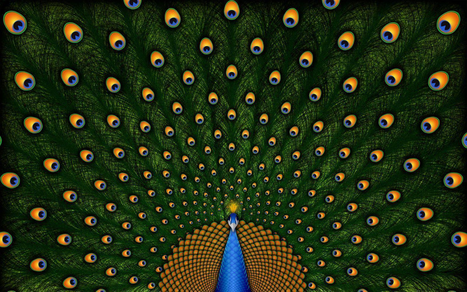 Peacock Wallpapers Desktop - Wallpaper Cave