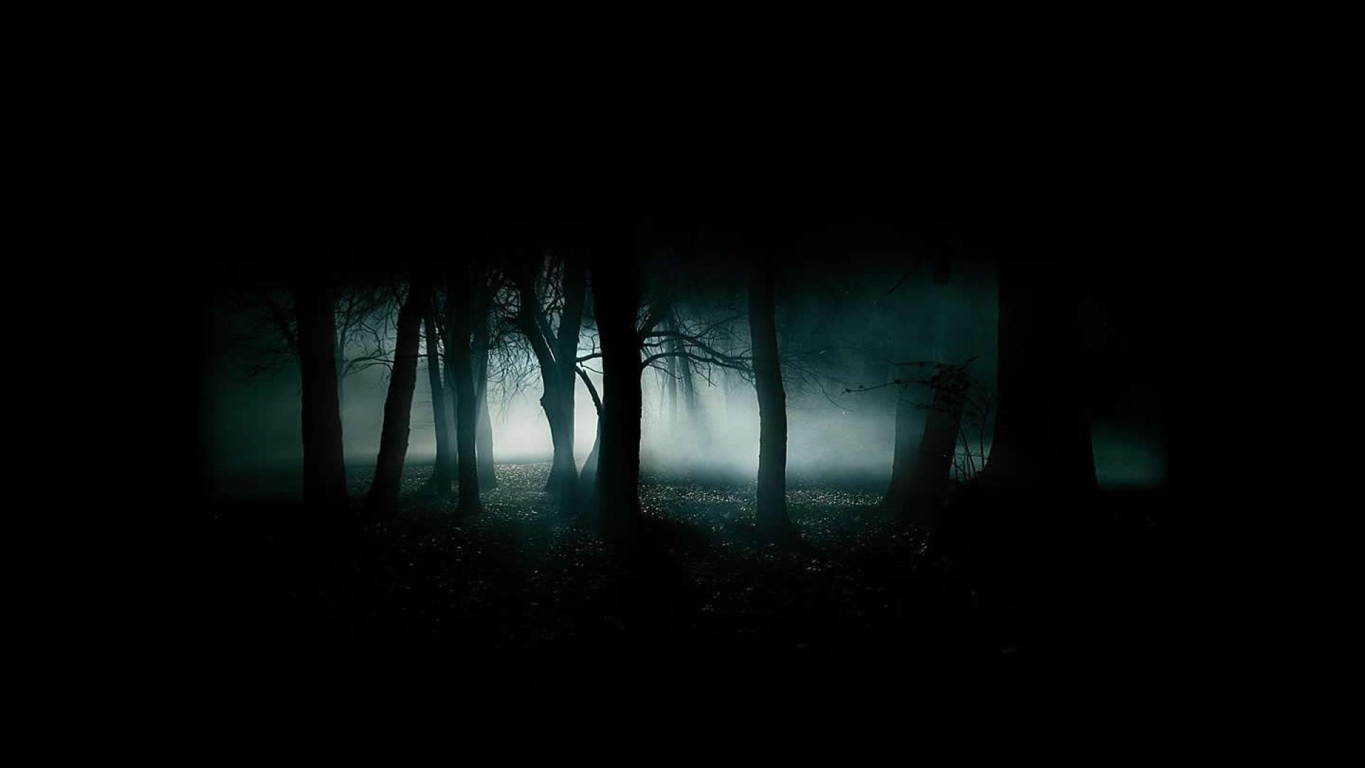 Download Scary Dark Forest Kostenlos Wallpaper 1920x1080. HD