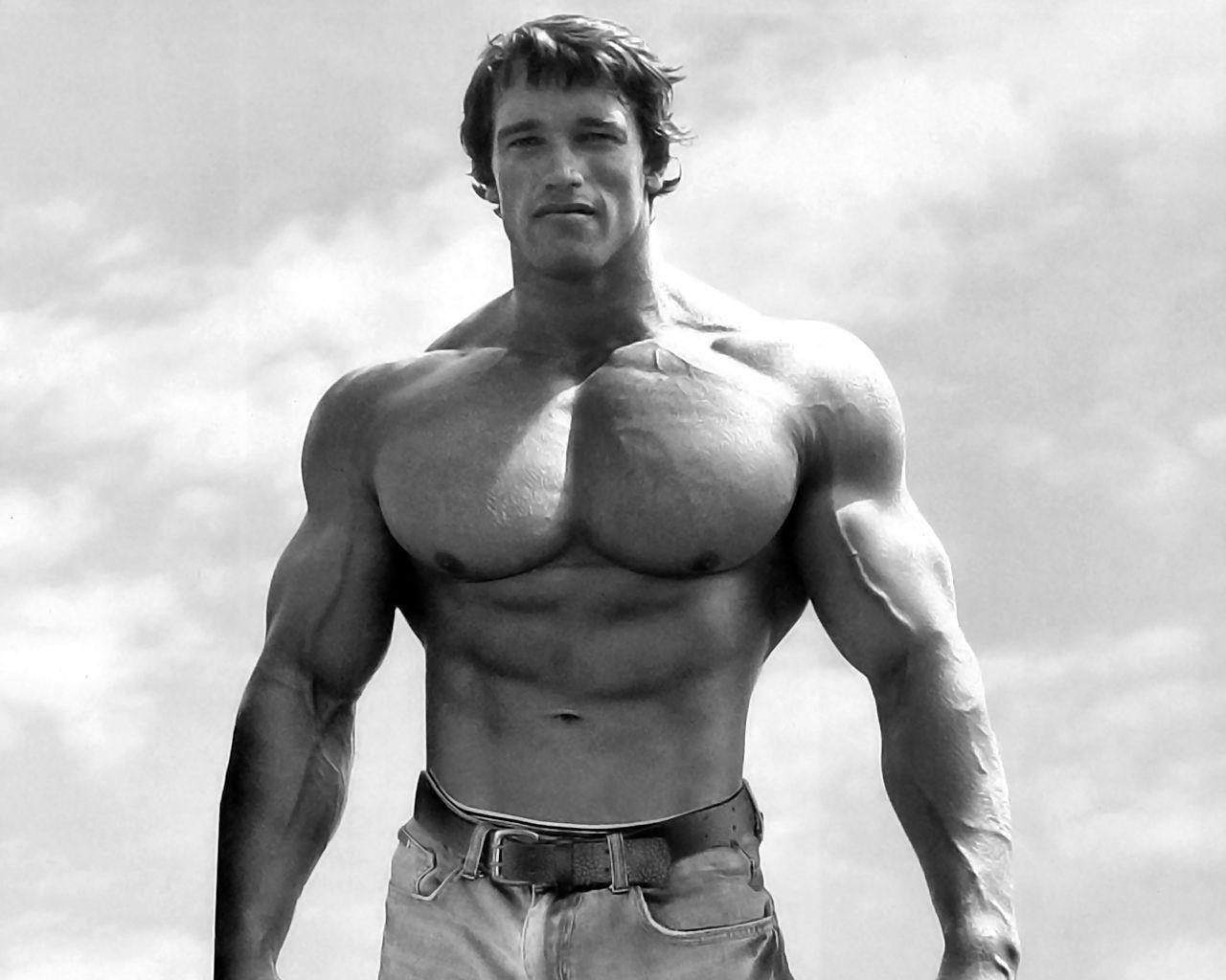 Bodybuilding Wallpaper Arnold Conquer