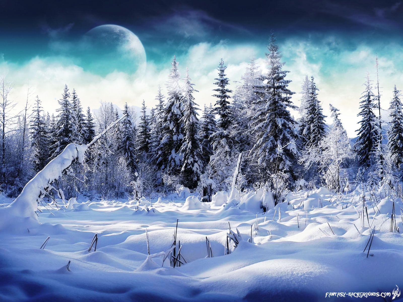 Winter Wonderland Background Image & Picture