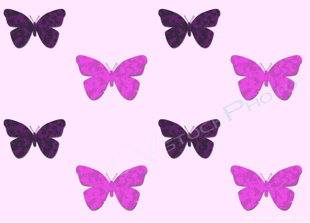 Purple And Pink Butterfly Wallpaper. coolstyle wallpaper