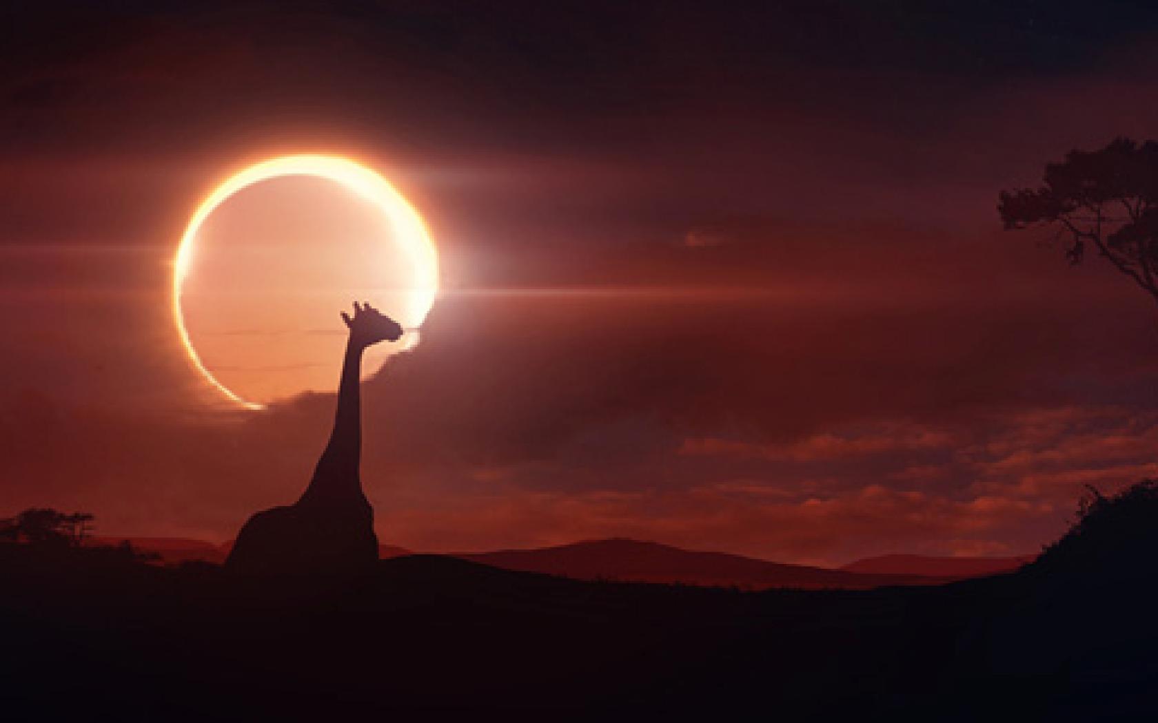 Solar Eclipse Widescreen HD Wallpaper Powericare