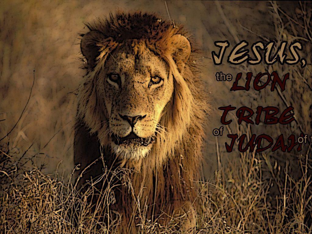 image For > Jesus Lion Wallpaper