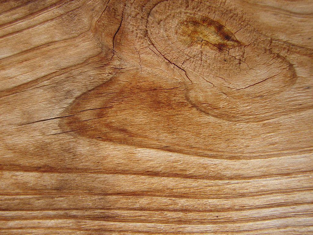 Easy Wood Burning Patterns Free. Search Results. Woodworking
