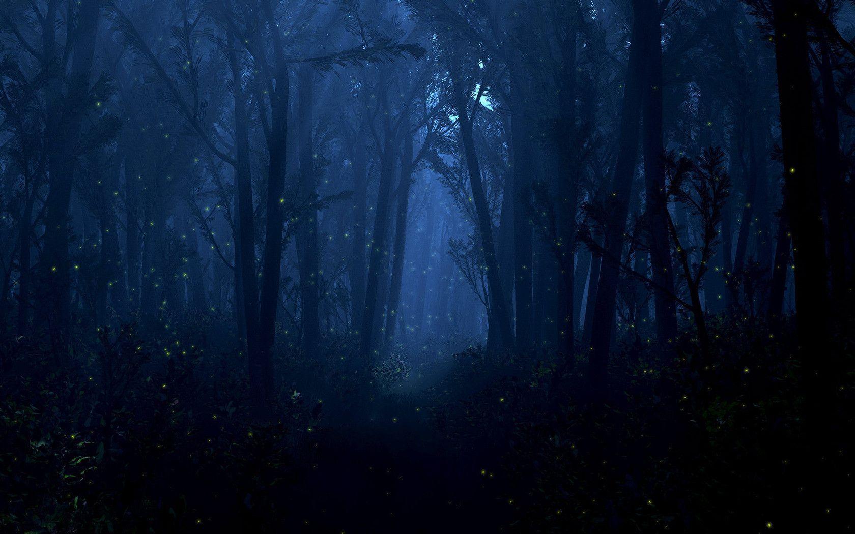 Forest Fireflies Picture