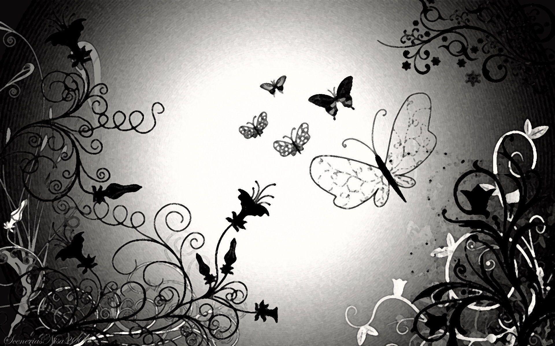 Black And White Butterfly Wallpaper 14882 Full HD Wallpaper
