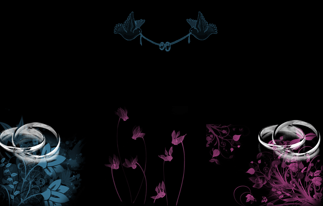 misener wedding black butterfly Wallpaper