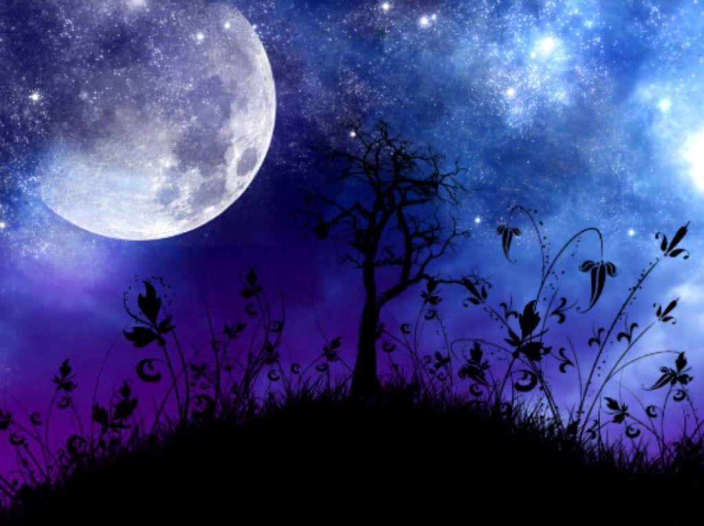 Moonlight Sky Wallpaper and Picture Items