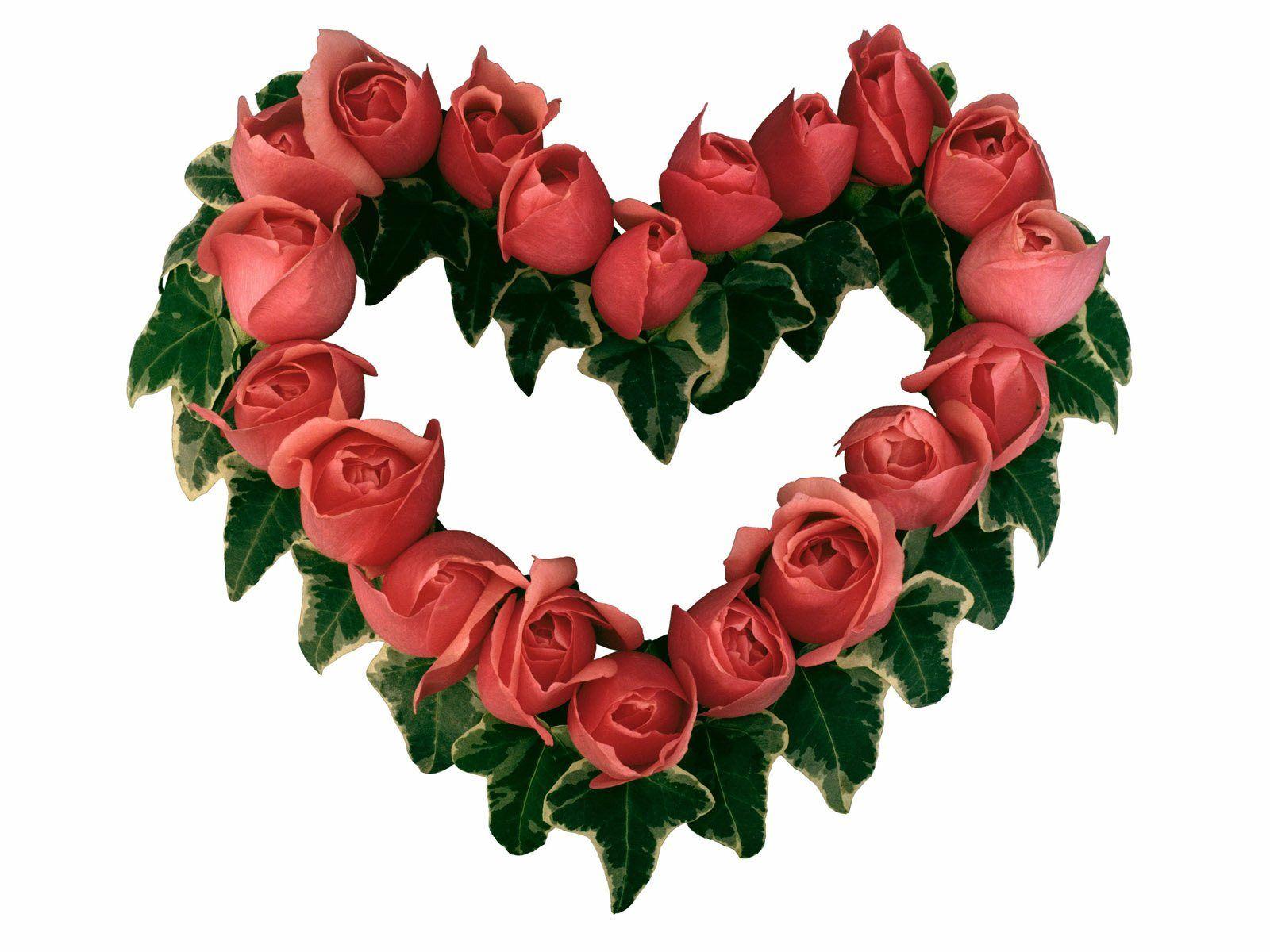 Heart Shape made of Roses widescreen wallpaper. Wide