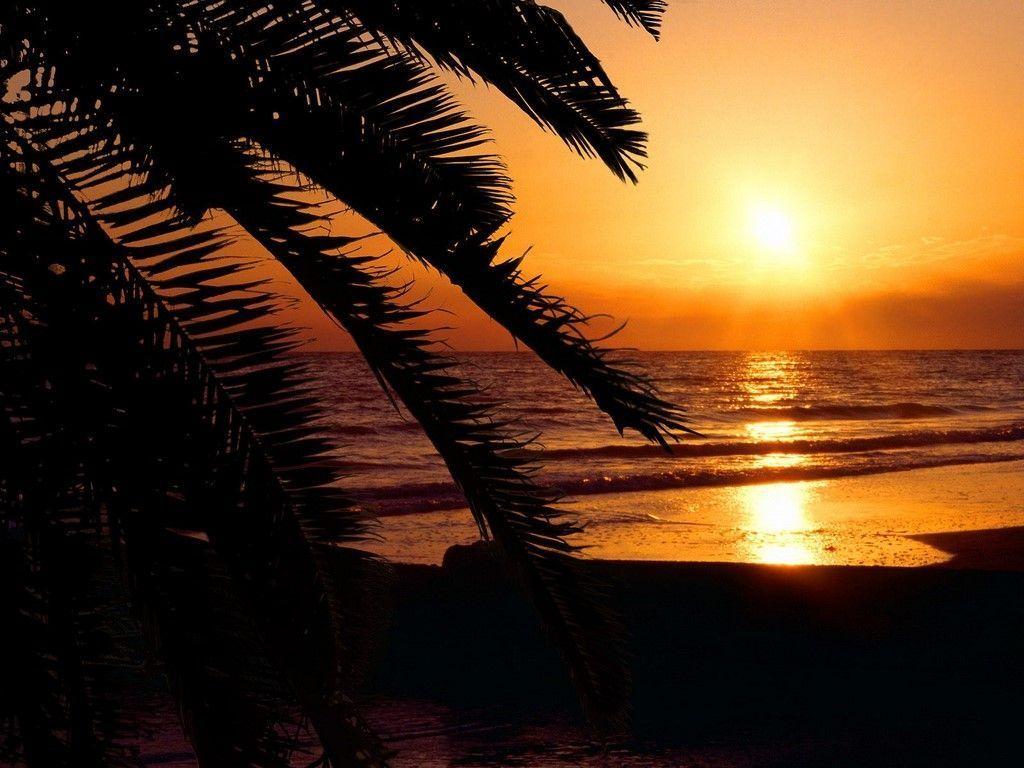Sunset Beach Background Wallpaper