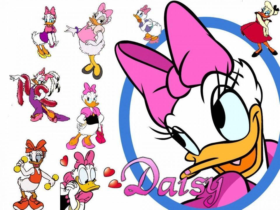 Duck wallpaper HD disney daisy duck wallpaper HD image desktop