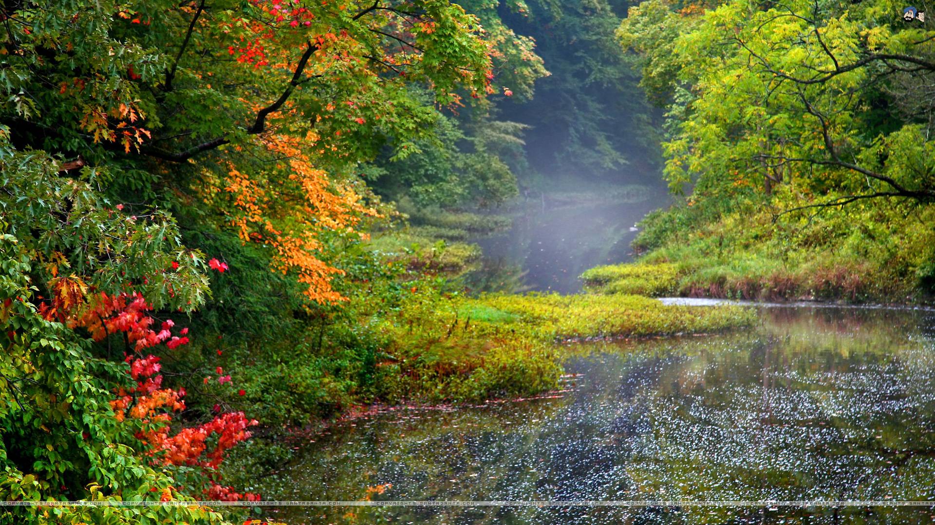 Nature Wallpapers HD - Wallpaper Cave