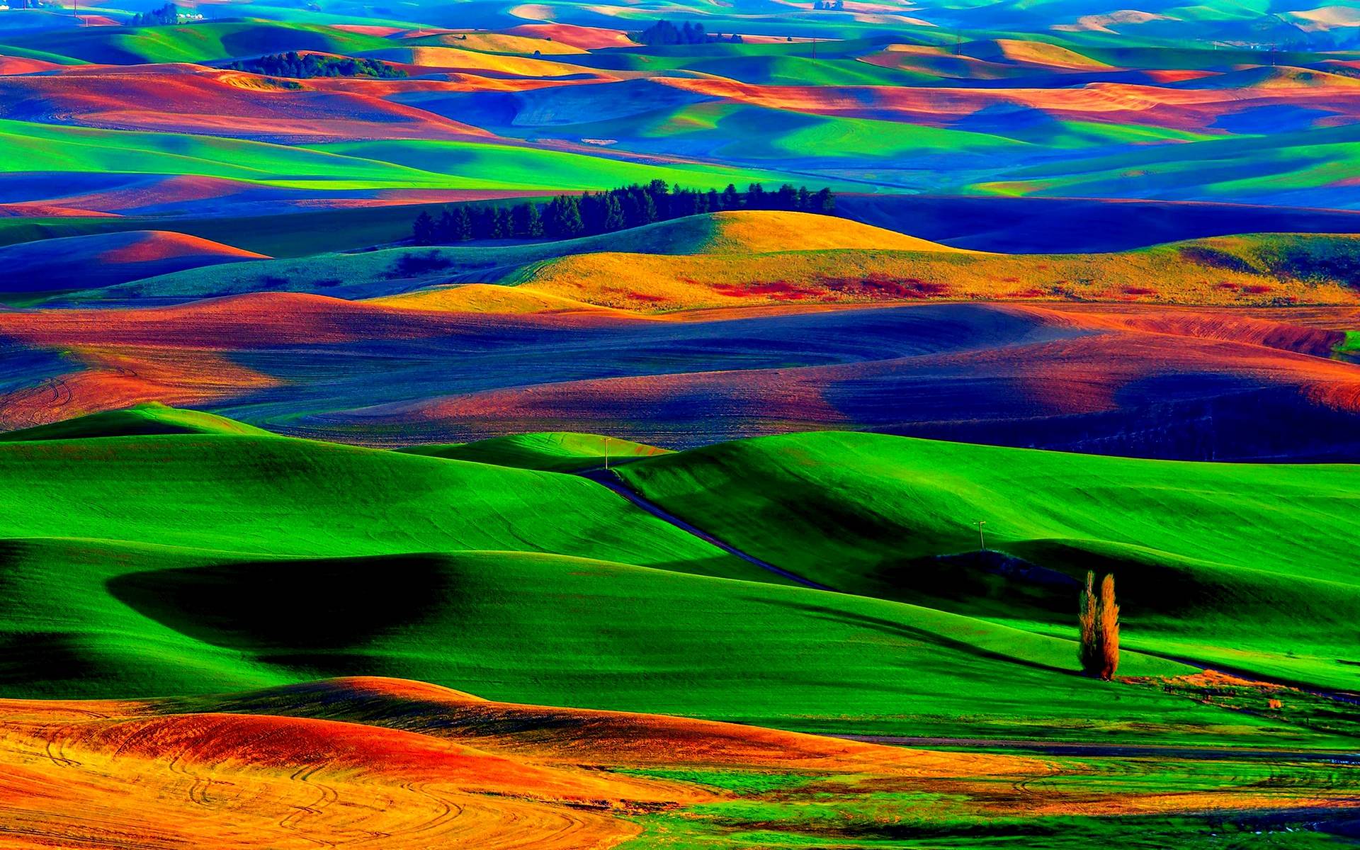 Colorful Fields Wallpaper and Background