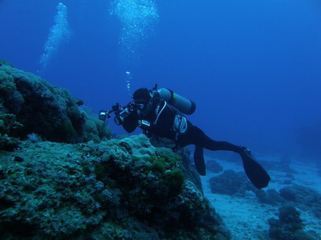Scuba Diving (id: 187090)
