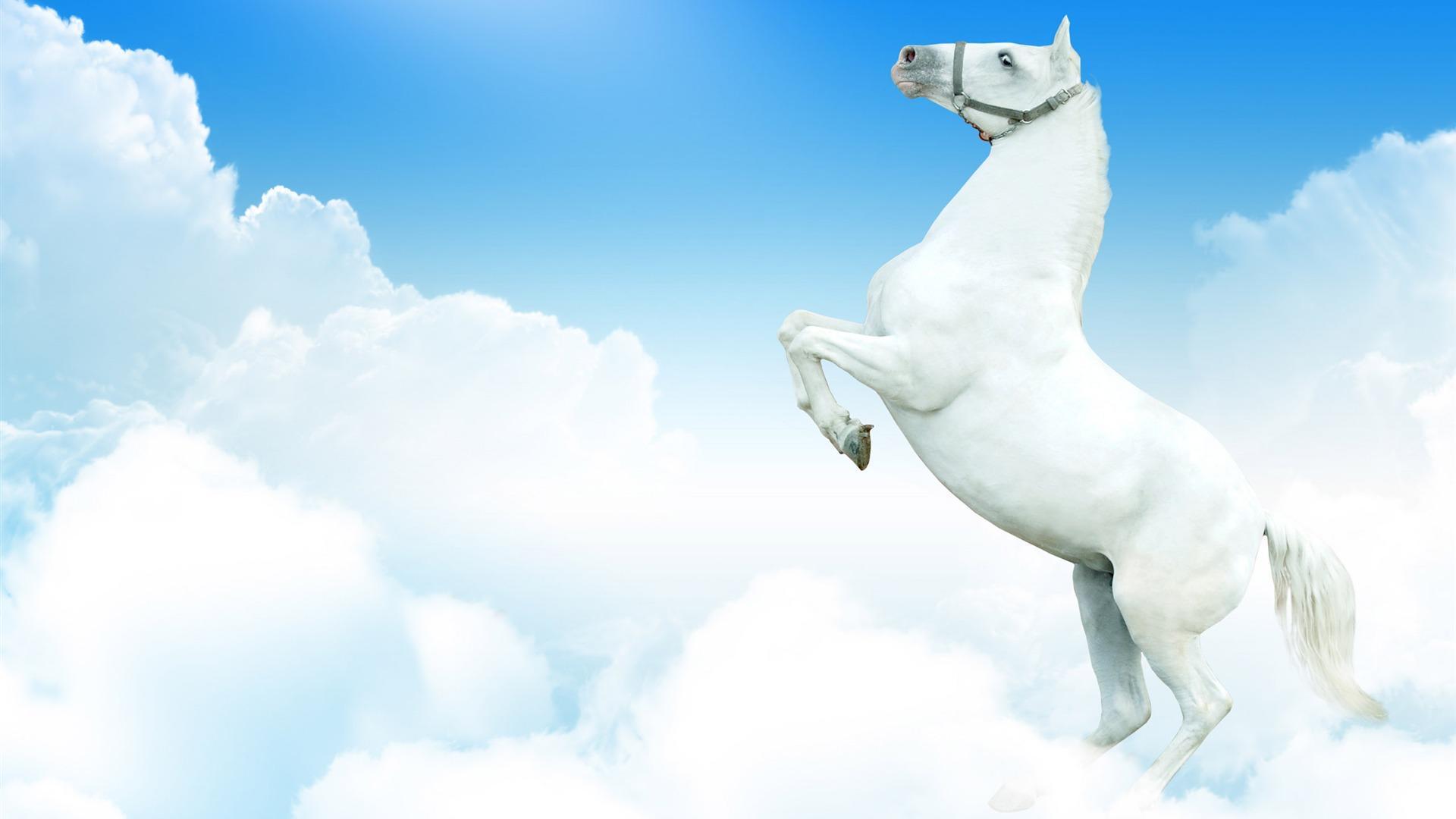 Horse desktop wallpaper from Arabian to wild Mustangs all in HD