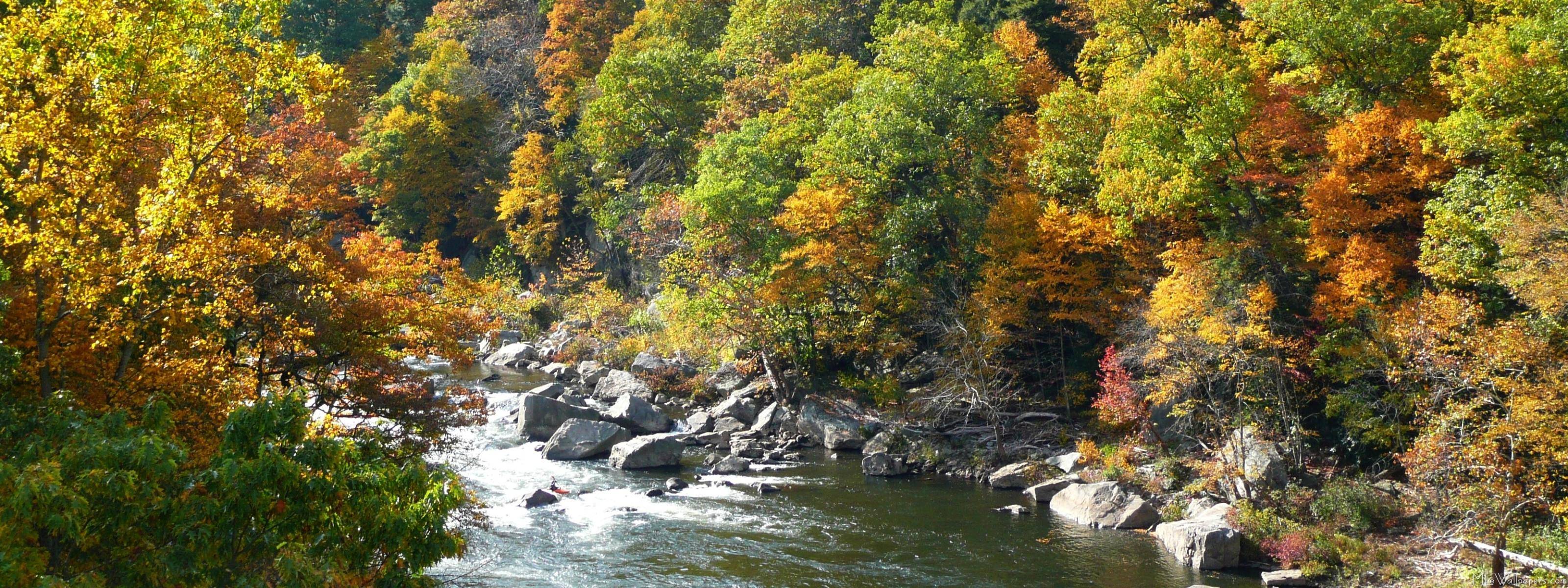 MLe Color at Ohiopyle State Park