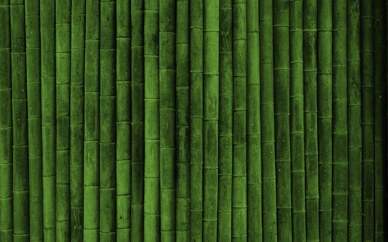 Bamboo desktop PC and Mac wallpaper