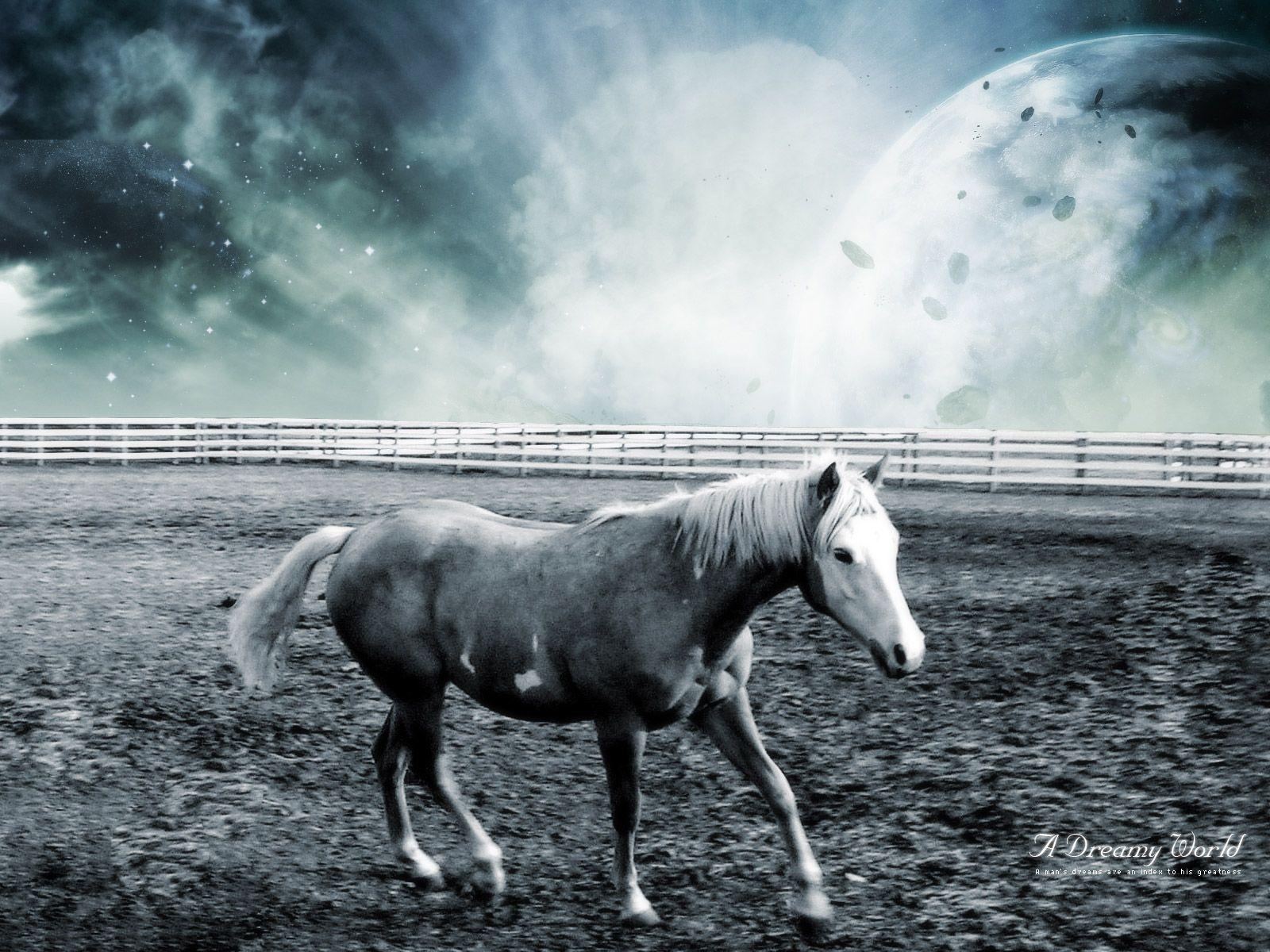 Dreamy Horse World Wallpaper