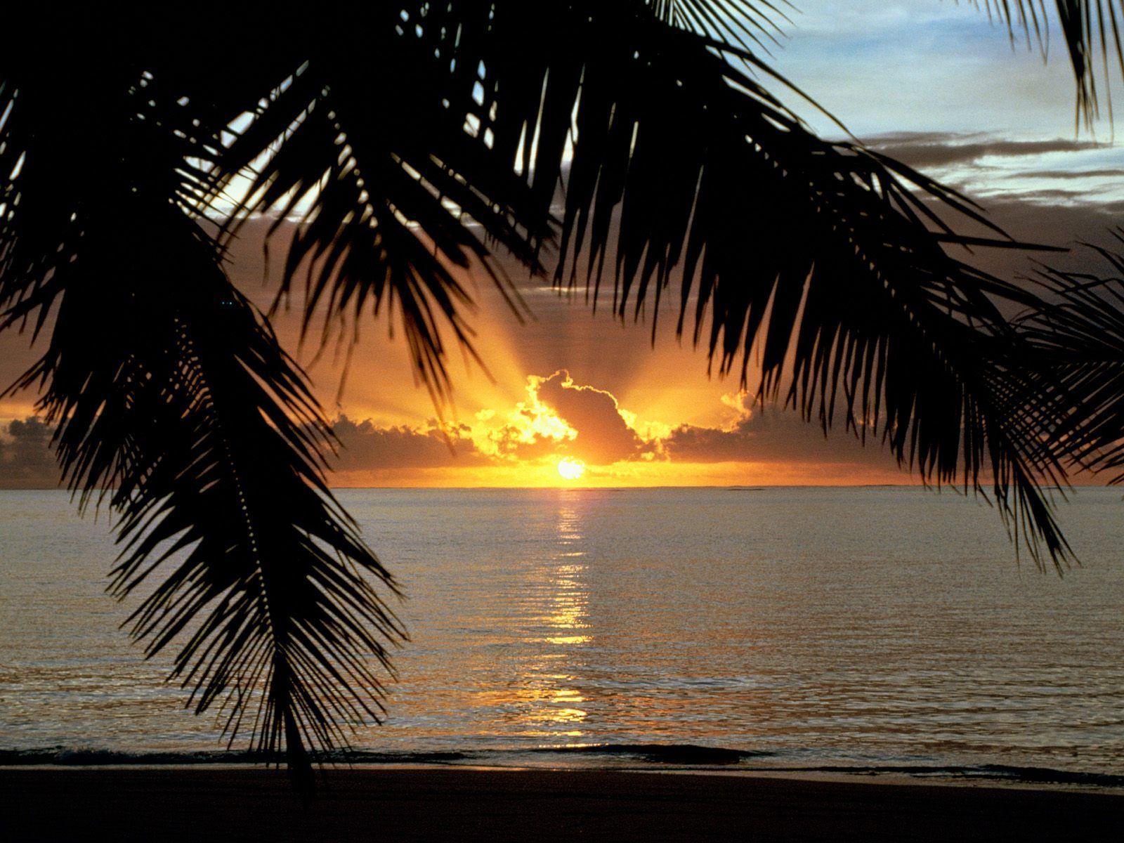 Pix For > Tropical Island Sunset Background