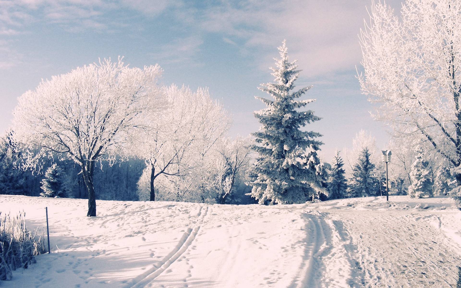 Winter Wonderland Background Image