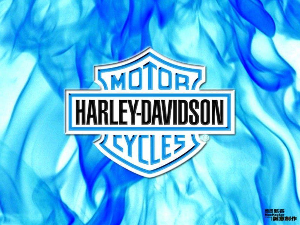 Harley Davidson Logo Wallpaper 7378 HD Wallpaper in Logos