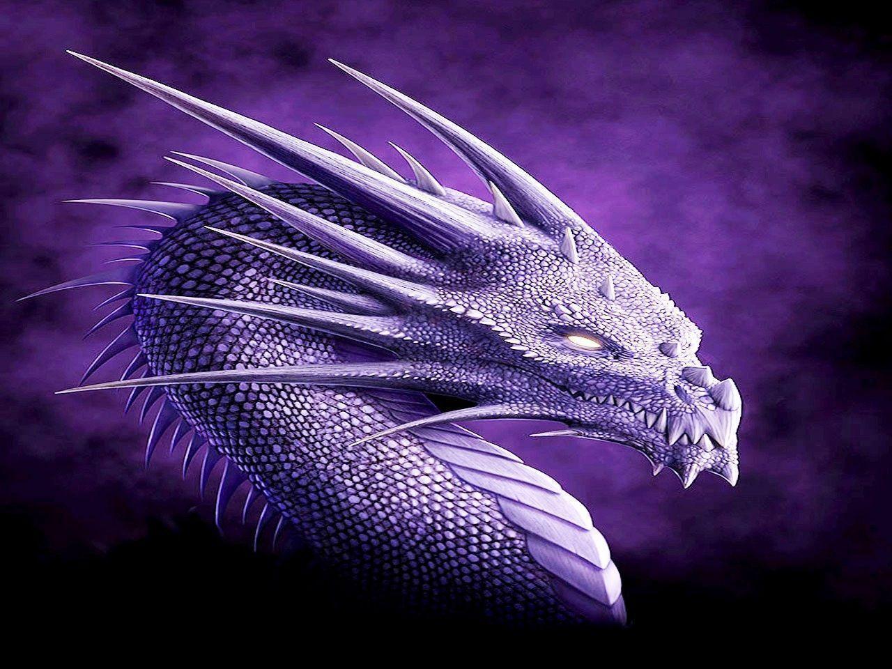 image For > Purple Dragons Wallpaper
