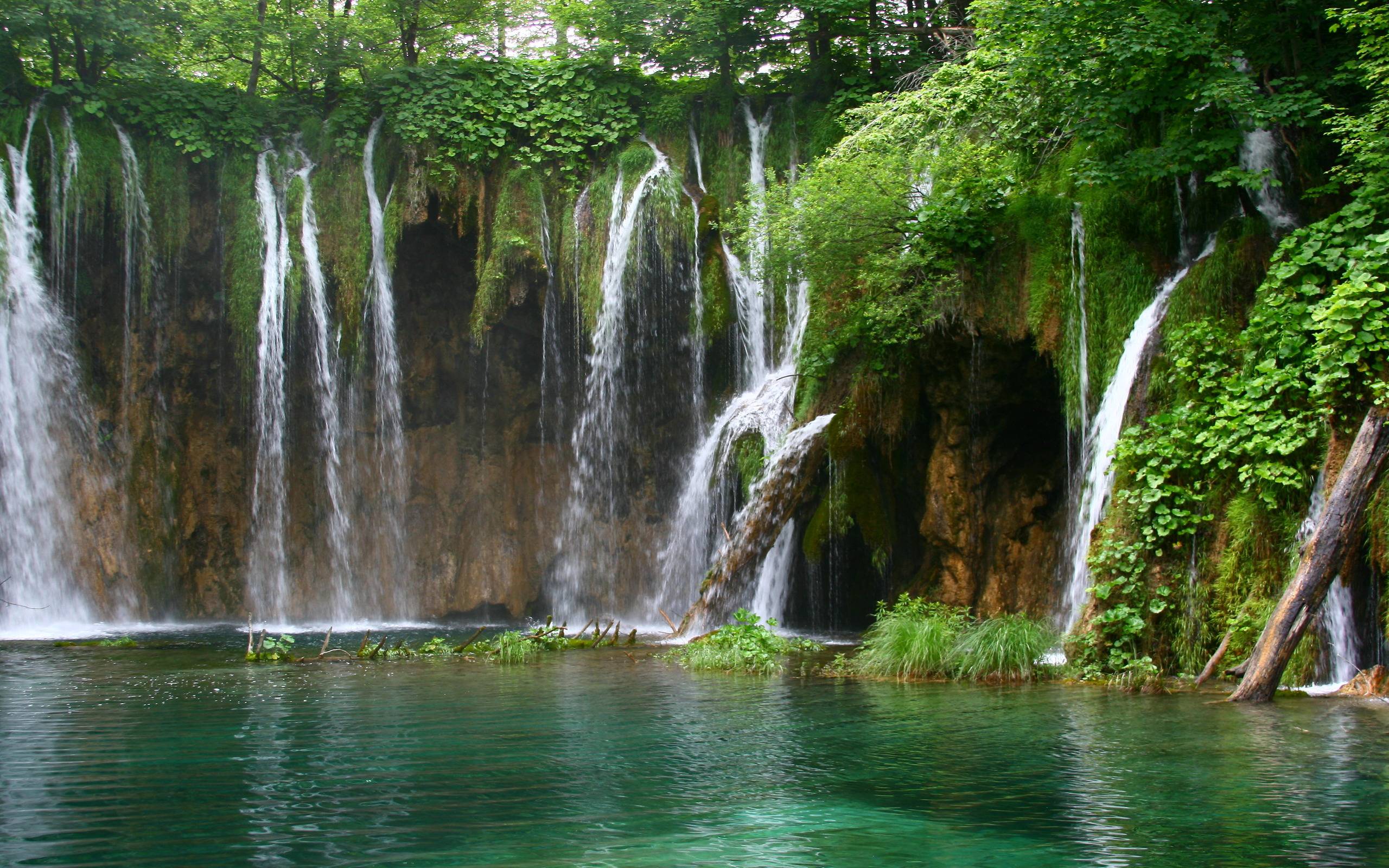 Paradise Nuance Forest Waterfall Wallpaper, iPhone Wallpaper