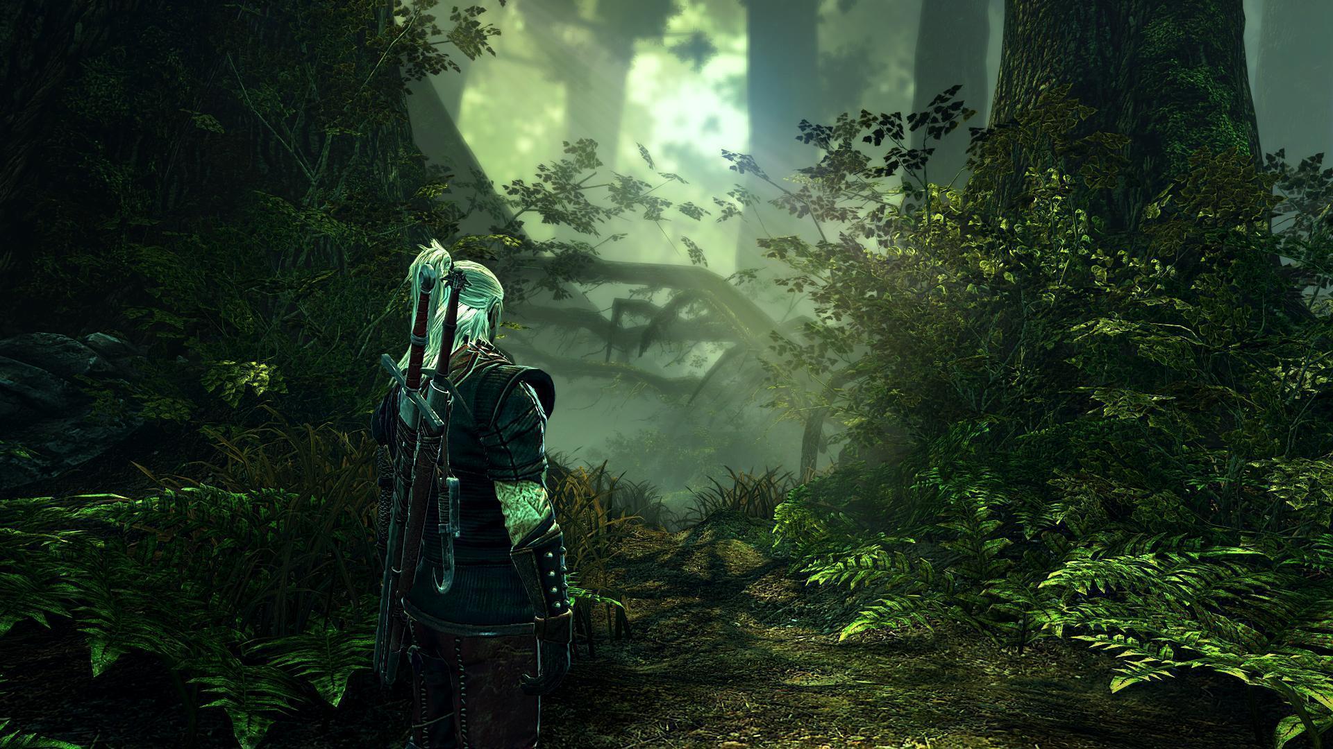 Review of The Witcher 2 HalfBeard&;s HUD