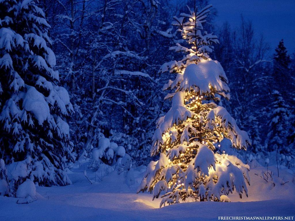 Free Golden Christmas Tree in White Snow Field wallpaper