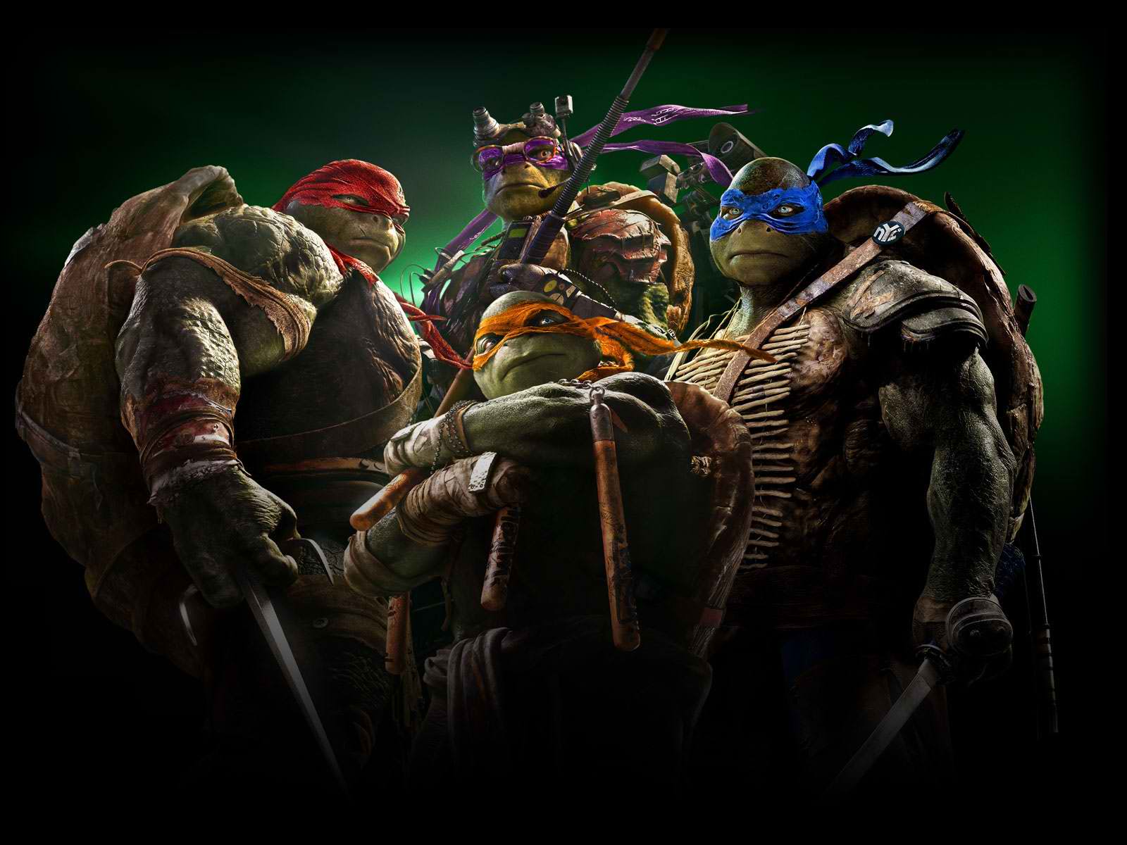 Teenage Mutant Ninja Turtles 2014 DVD Cover. Wallpaper HD