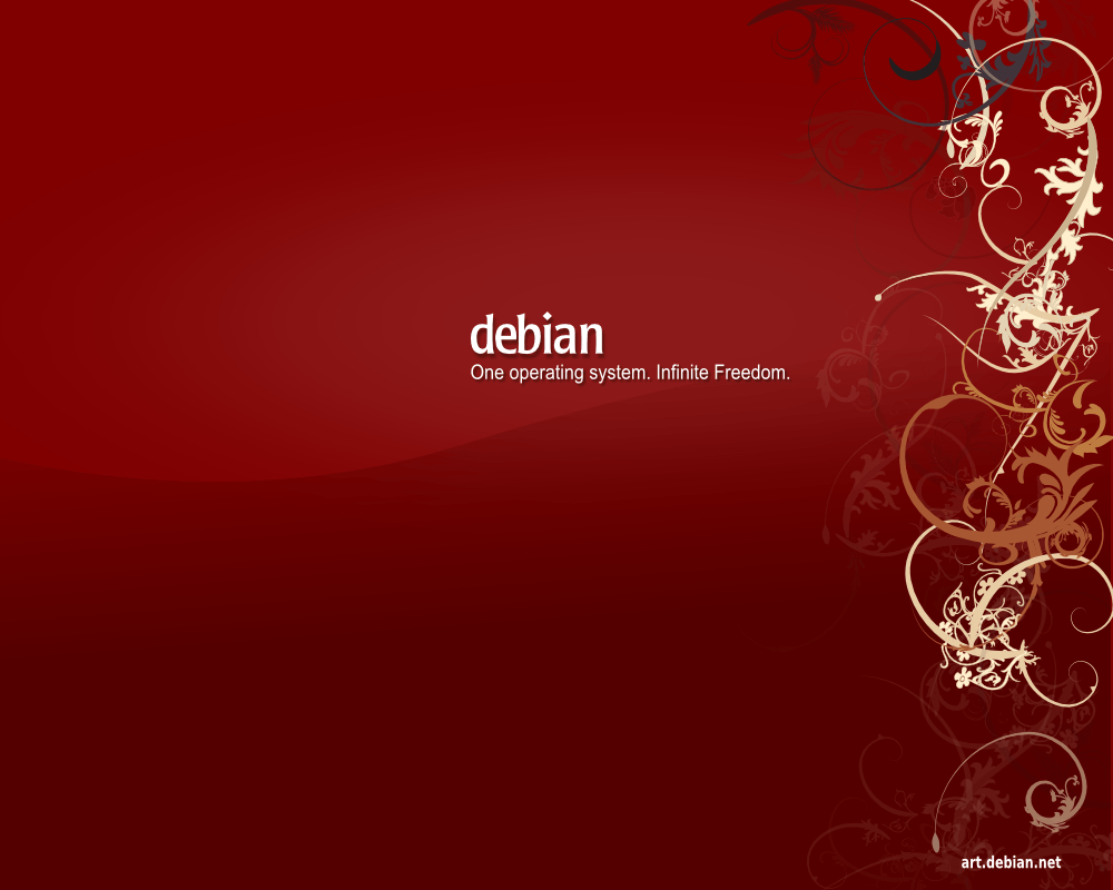 Download Linux Debian Wallpaper 1000x800
