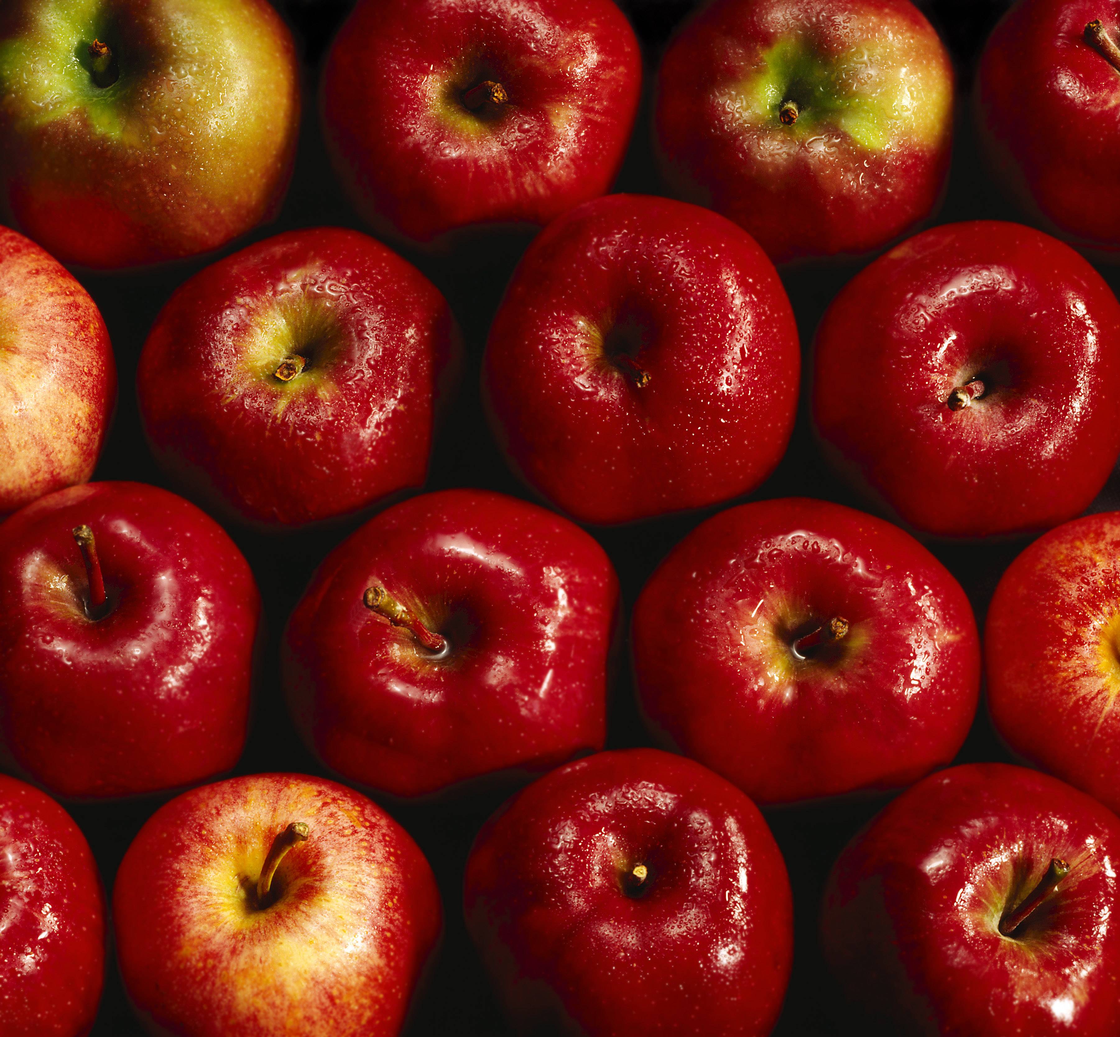 image For > Red Apple Wallpaper