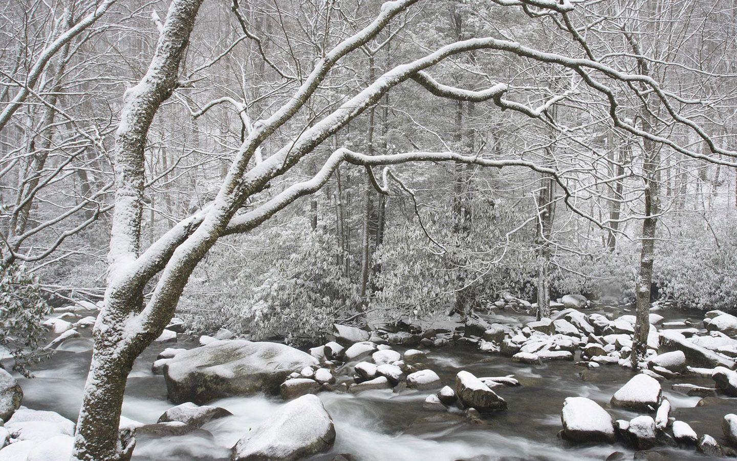 Winter wonderland, Dreamy Snow Scene wallpaper 1440x900 NO.36