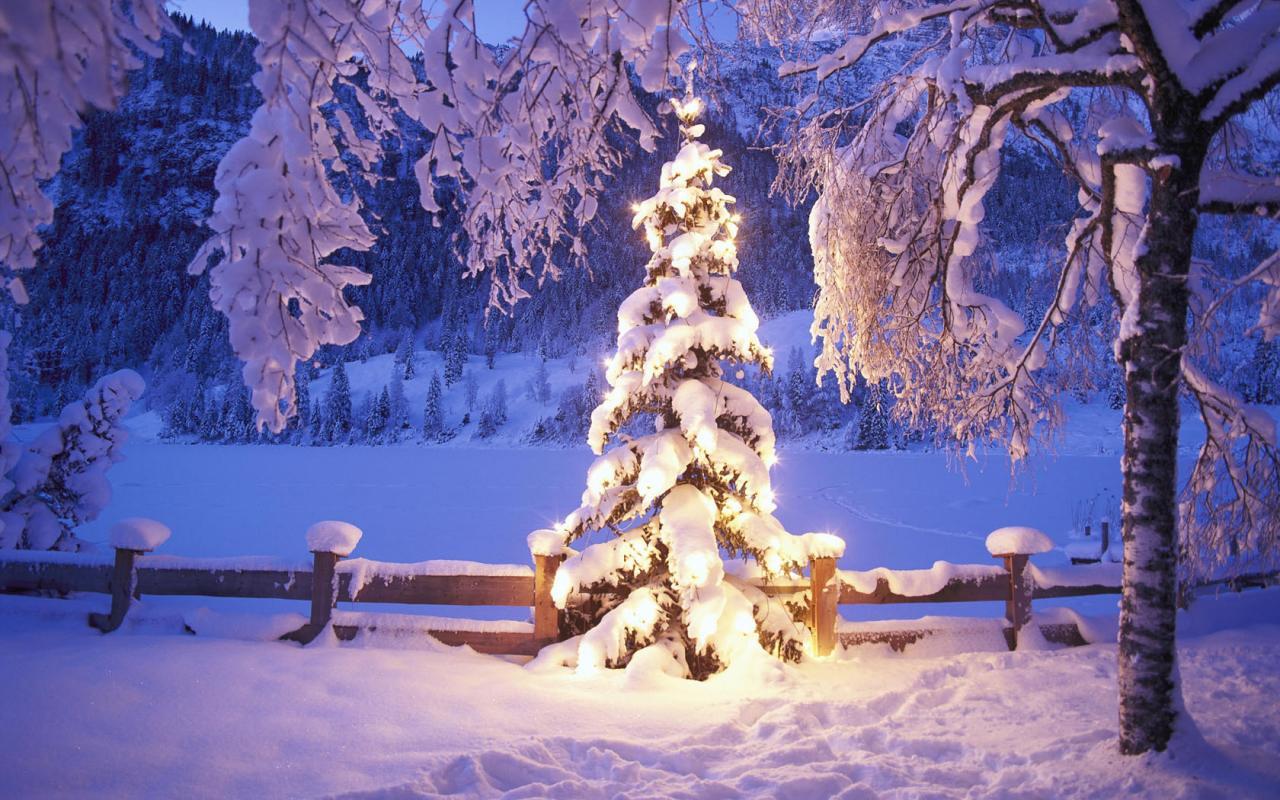 christmas winter scene wallpaper