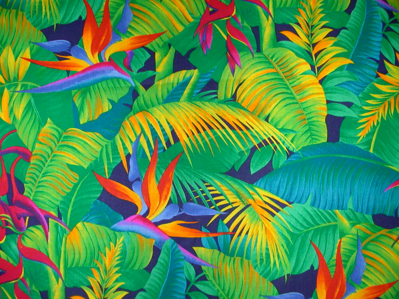 image For > Hawaiian Print Background
