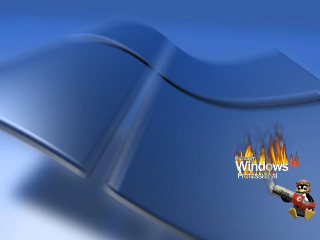 Linux vs Windows XP Professional free desktop background
