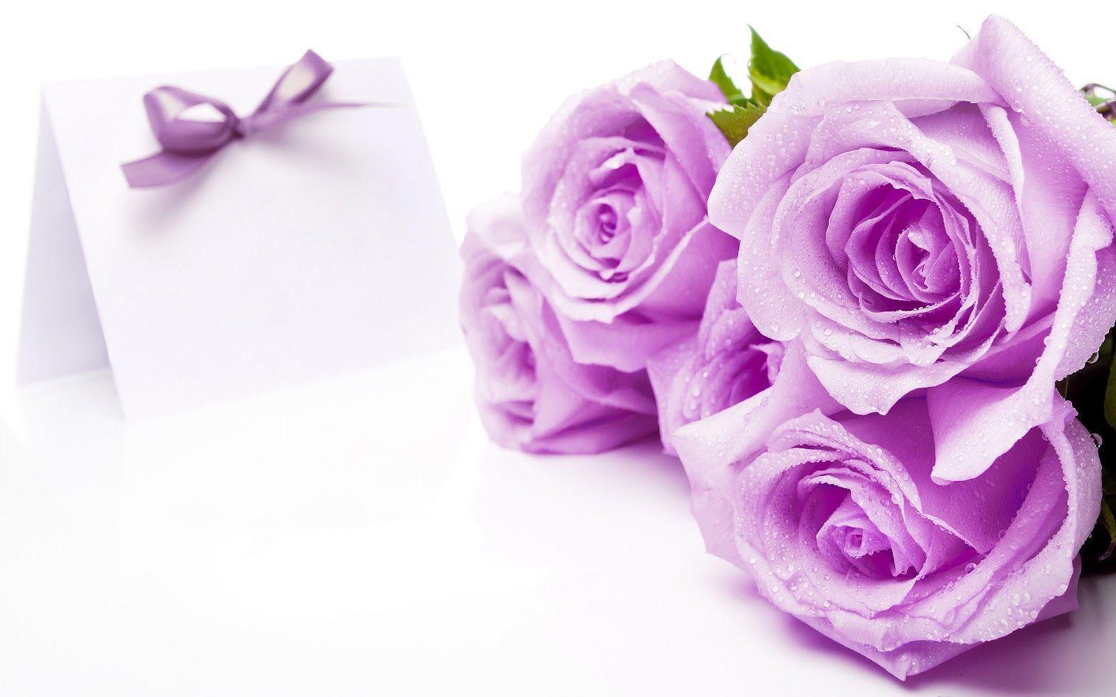 Flowers For > Beautiful Purple Roses Wallpaper
