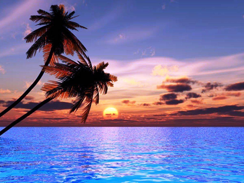 Beautiful Beach Sunset Background Image 6 HD Wallpaper