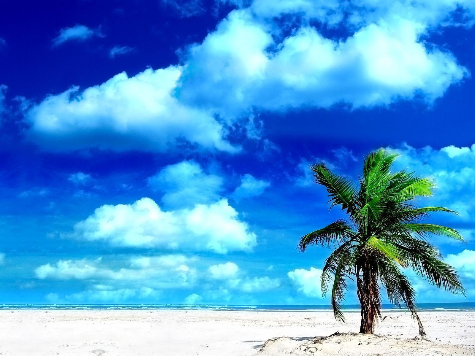 Sandy Beach Oasis desktop wallpaper