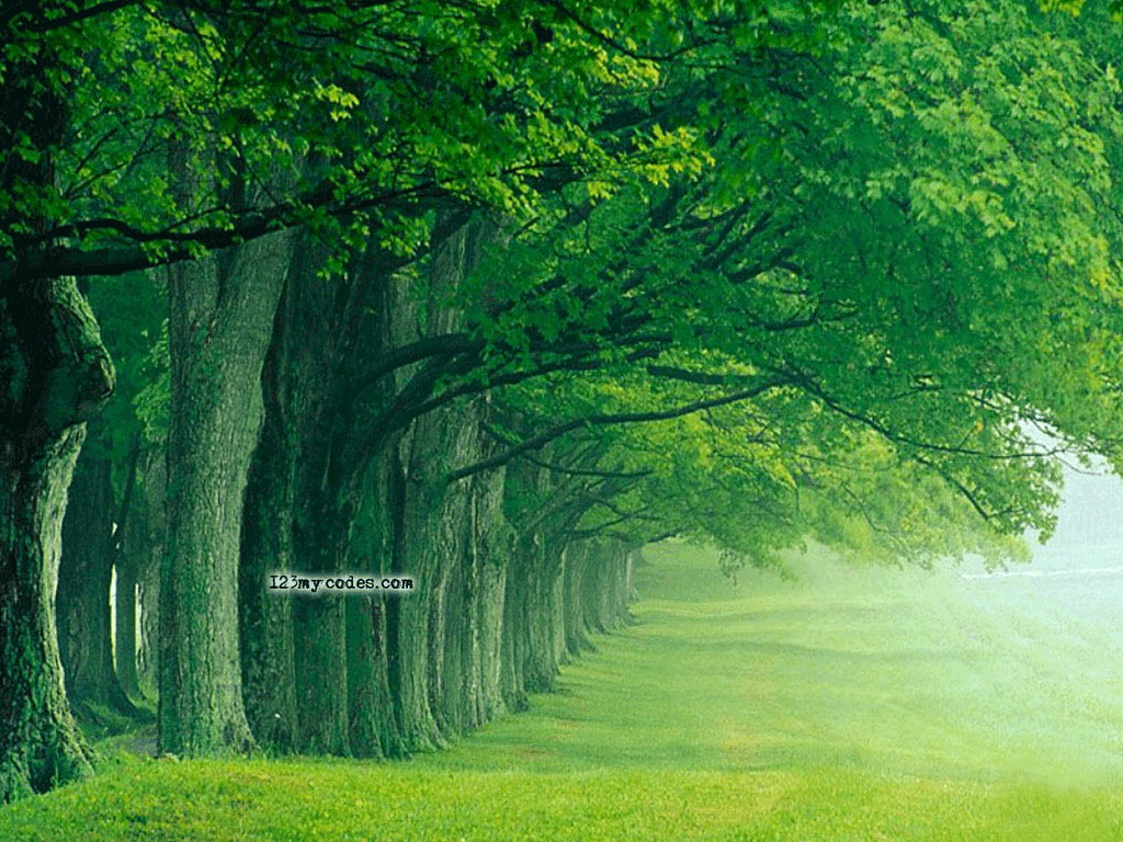 Nature Background. HD Wallpaper Free