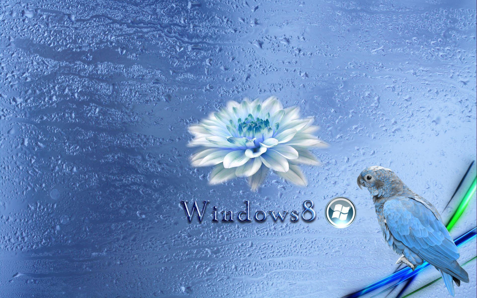 Windows 8 Background Blue Desktop Wallpaper HD