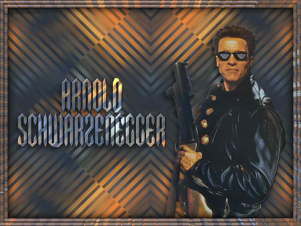 Arnold Schwarzenegger Wallpaper Schwarzenegger Wallpaper