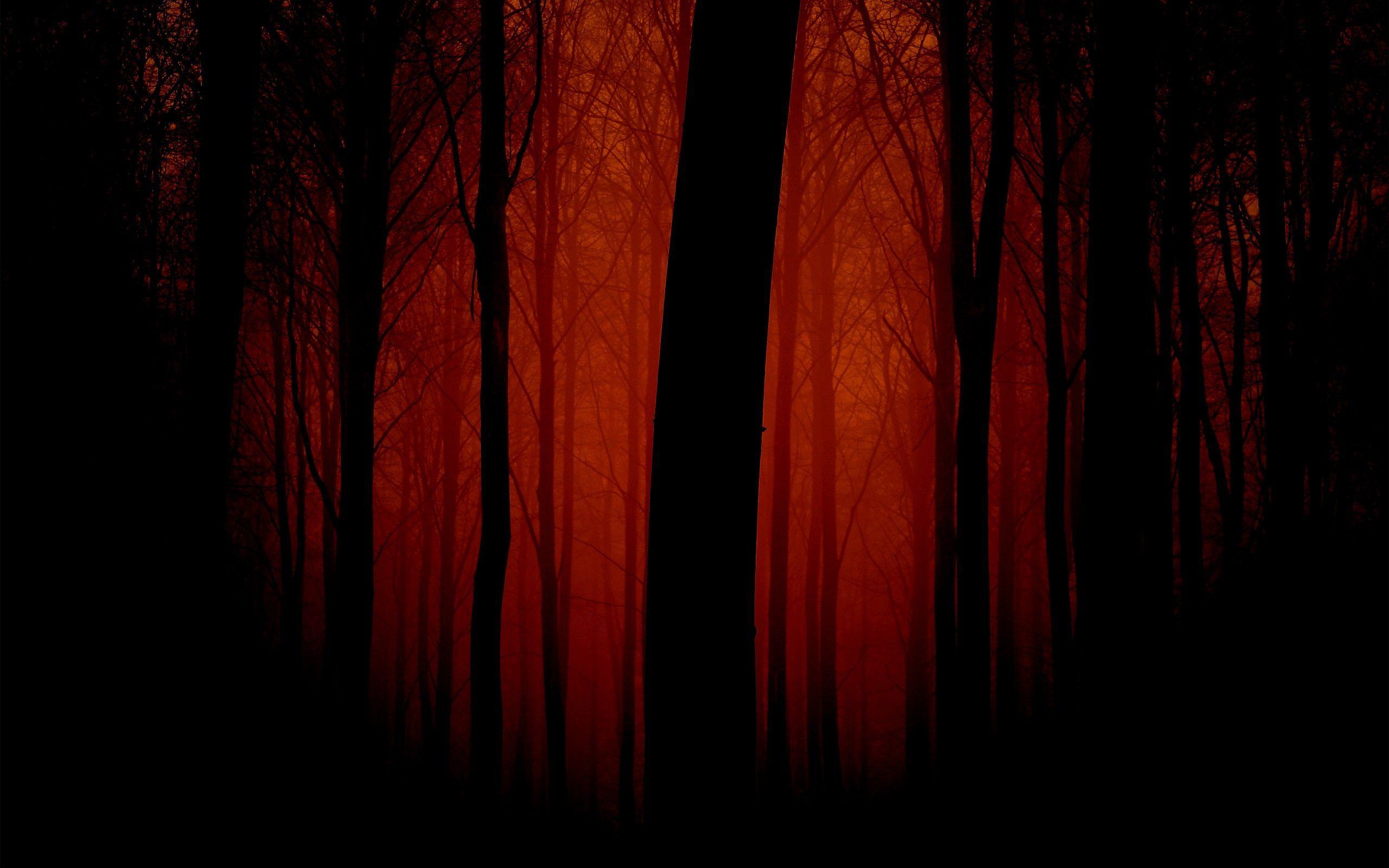 Dark Red Forest Wallpaper For Walls 13245 Full HD Wallpaper