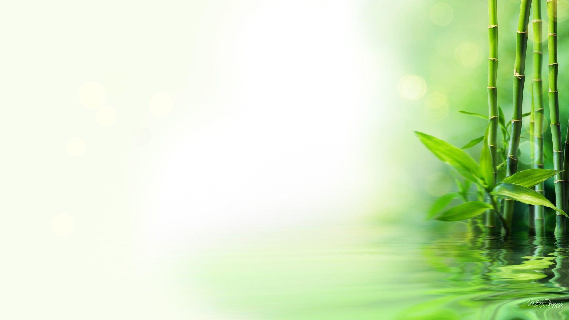 image For > Bamboo Background HD