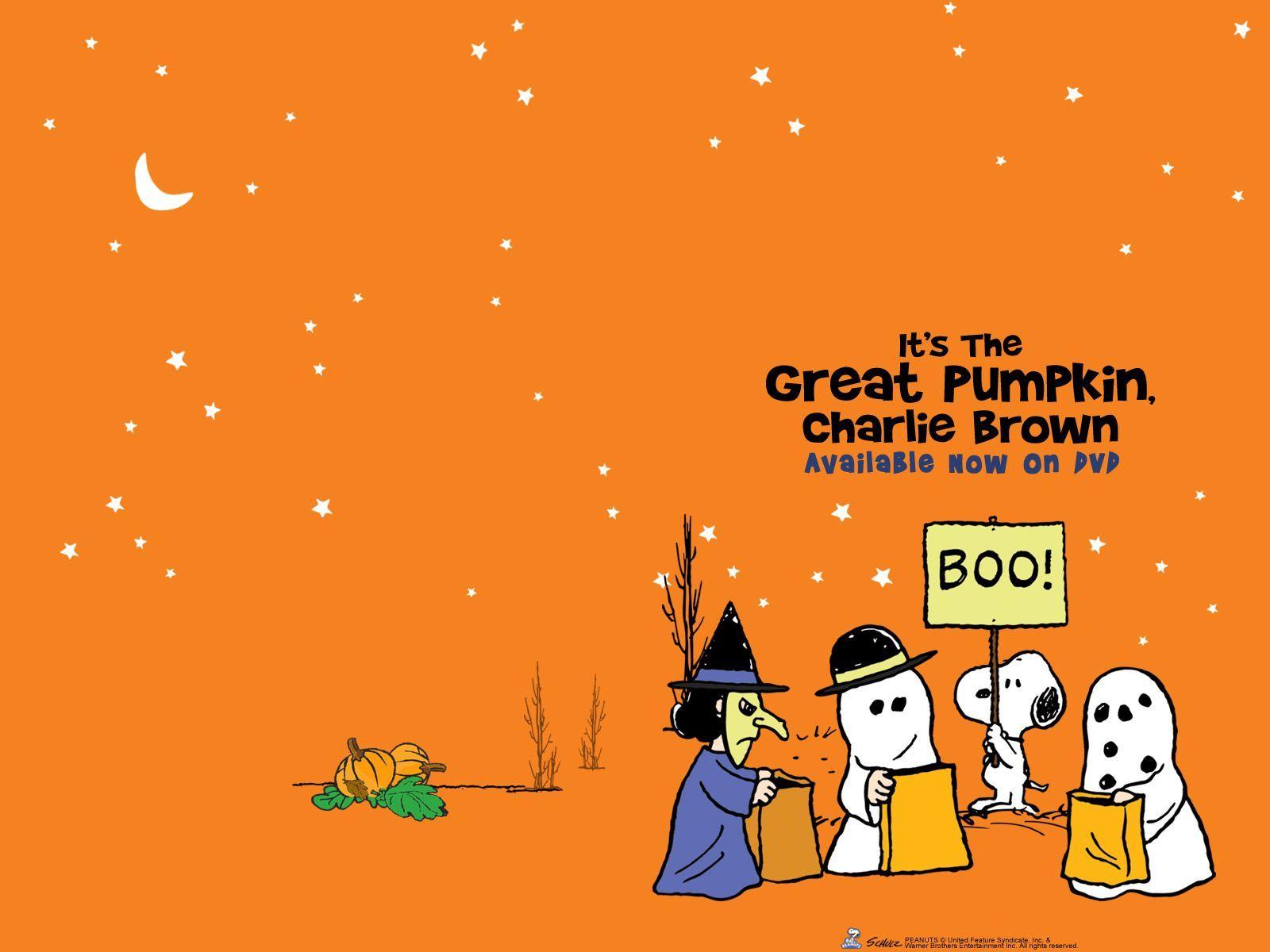 Its The Great Pumpkin Charlie Brown Wallpaper Image & Picture