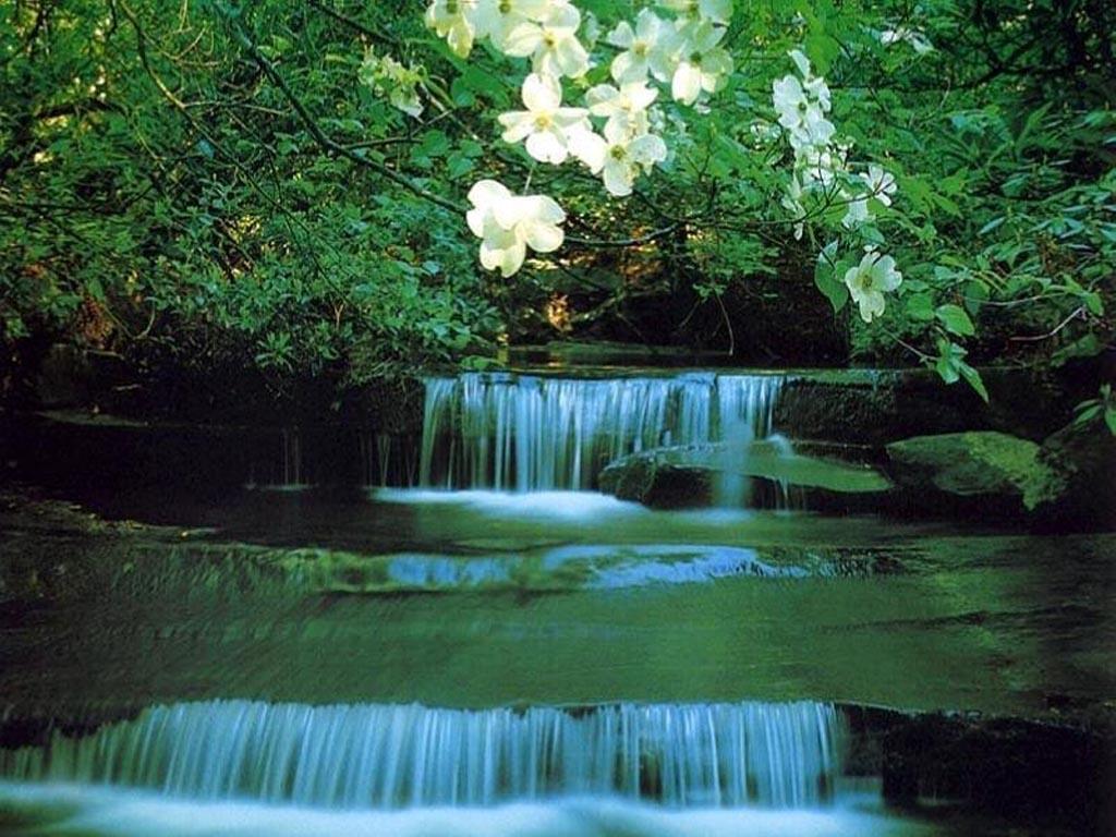 Waterfall And Flowers Wallpaper Background 24010 HD Picture