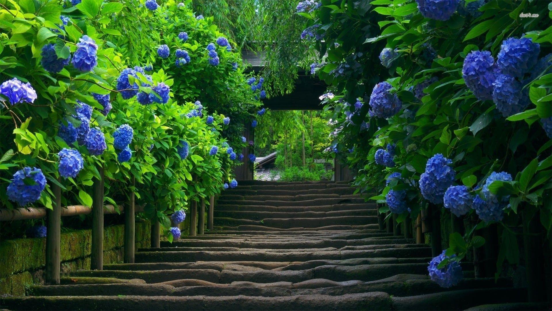 16640 Stairs Under The Blue